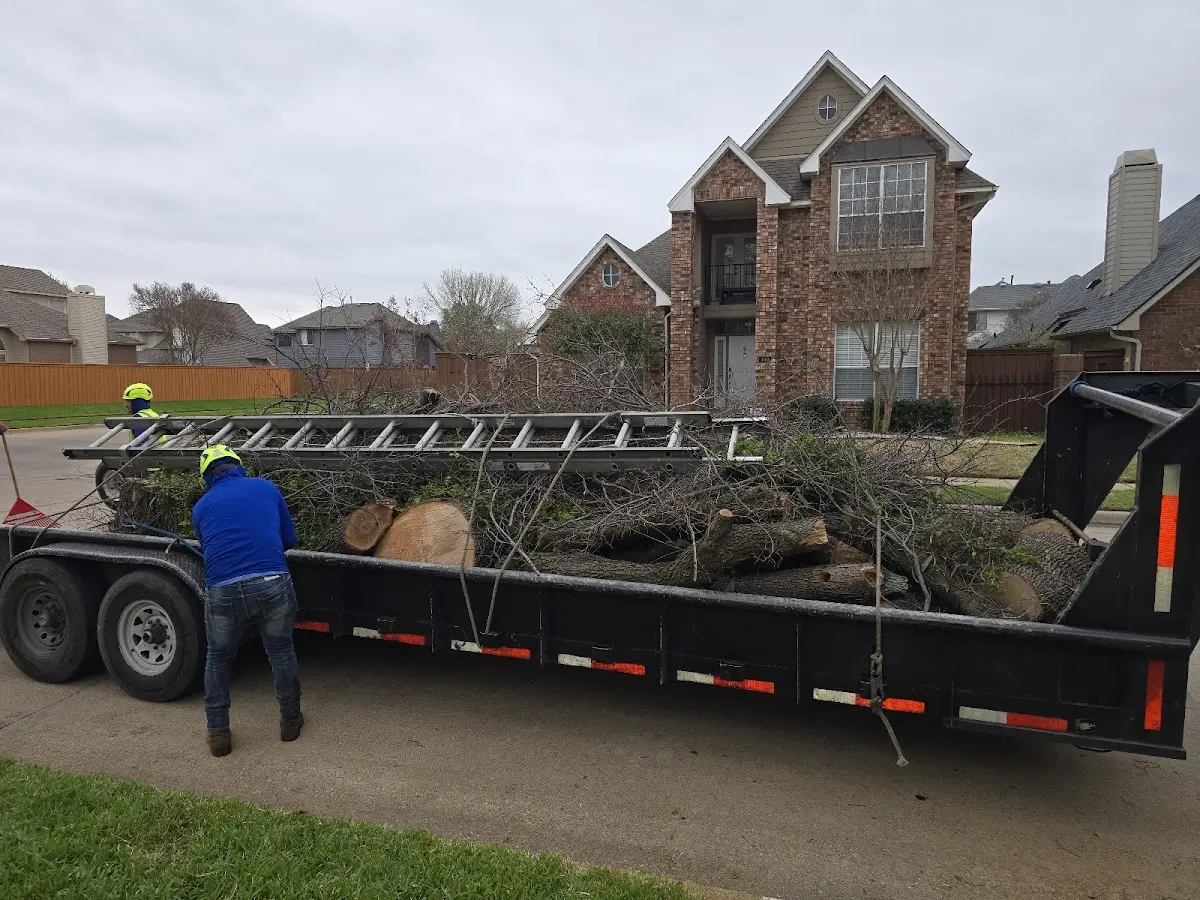 Expert Tree Removal with proper safety equipment in South River
